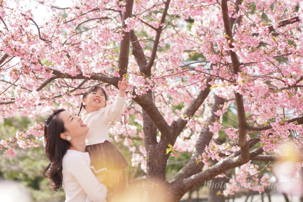 桜フォト
